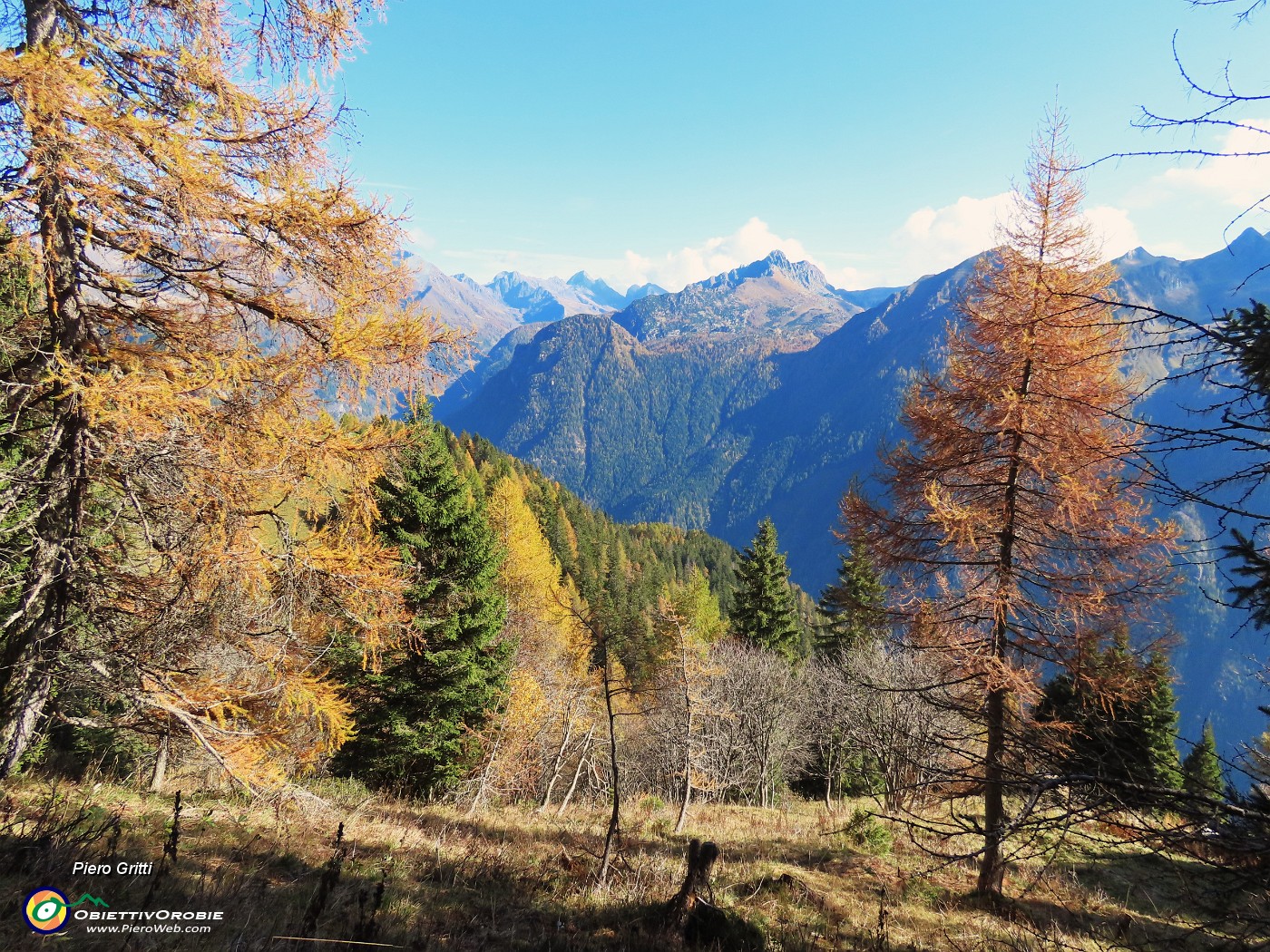 18 Spettacolo di panorami e di larici colorati d'autunno.JPG